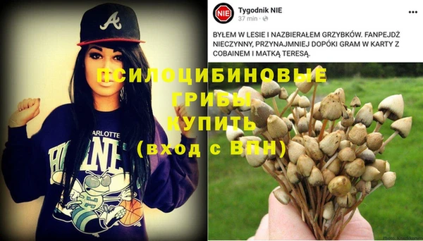 ешки Белоозёрский