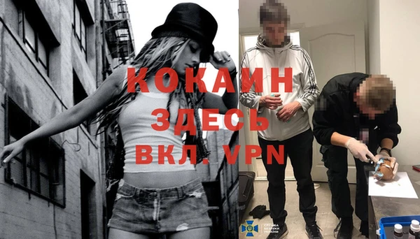спиды Белокуриха