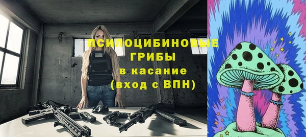 спиды Белокуриха