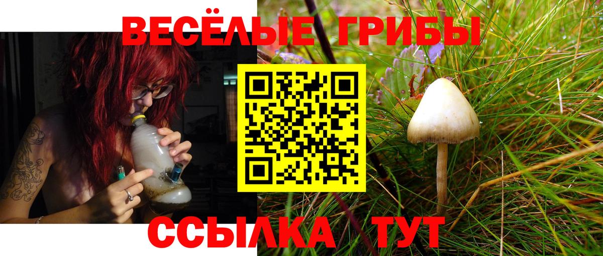 Псилоцибиновые грибы GOLDEN TEACHER  Вход с VPN  Псилоцибиновые грибы Psilocybine cubensis  Надым 
