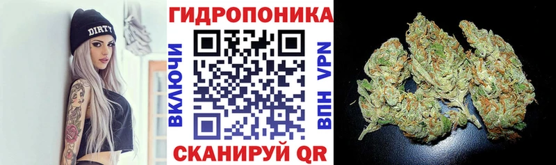 Канабис план  МЕГА ССЫЛКА  Надым 